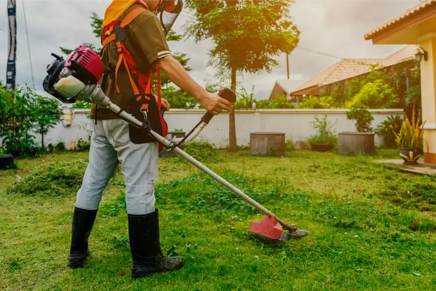 Professional Landscaping Company in Essex, CT Professional Landscaping Company in Essex, CT